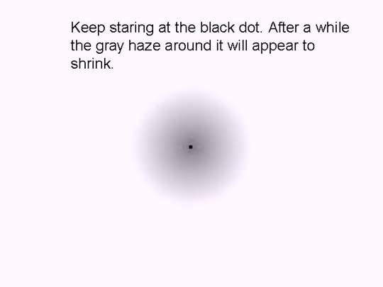 Gray Haze