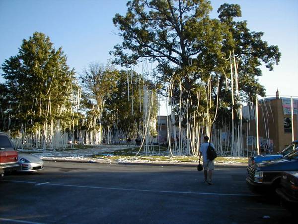 TP Trees