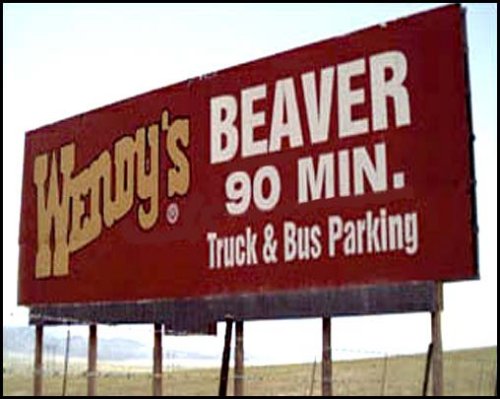 Wendys beaver